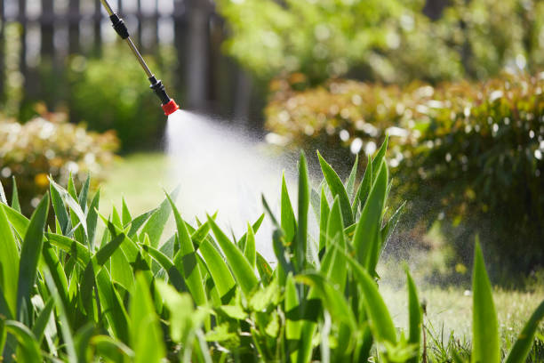 24/7 Emergency Ant Control experts in McArthur, OH