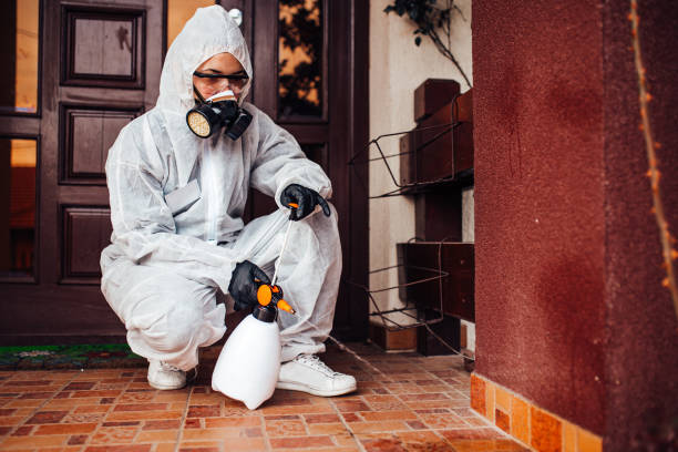 Reliable Ant Control contractor in McArthur, OH by Nex Pest Control