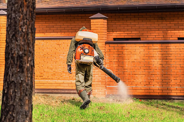 Trusted Ant Control service in McArthur, OH - Nex Pest Control